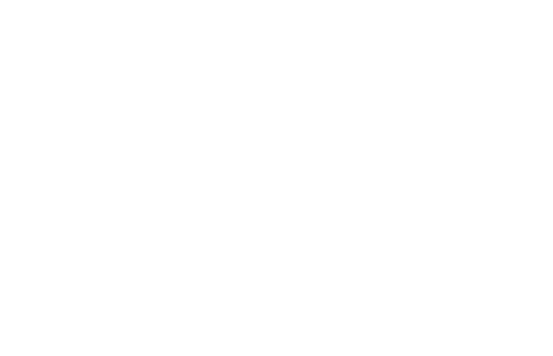 BIBS26_Logo_weiß